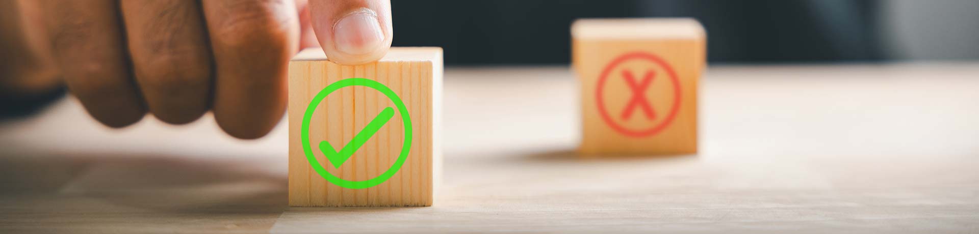 Rights and Opportunities of Dutch Residence Permit Holders